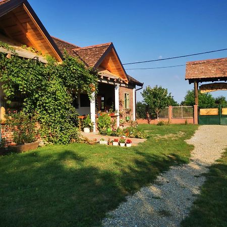 Appartamento Amanet House Zasavica Esterno foto