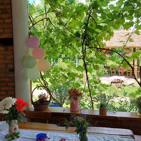 Appartamento Amanet House Zasavica Esterno foto