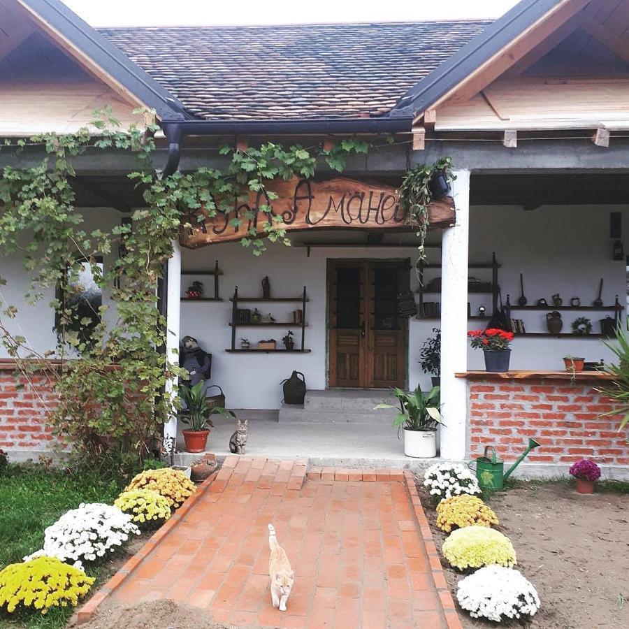 Appartamento Amanet House Zasavica Esterno foto