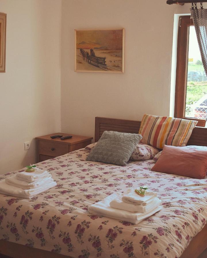 Appartamento Amanet House Zasavica Esterno foto