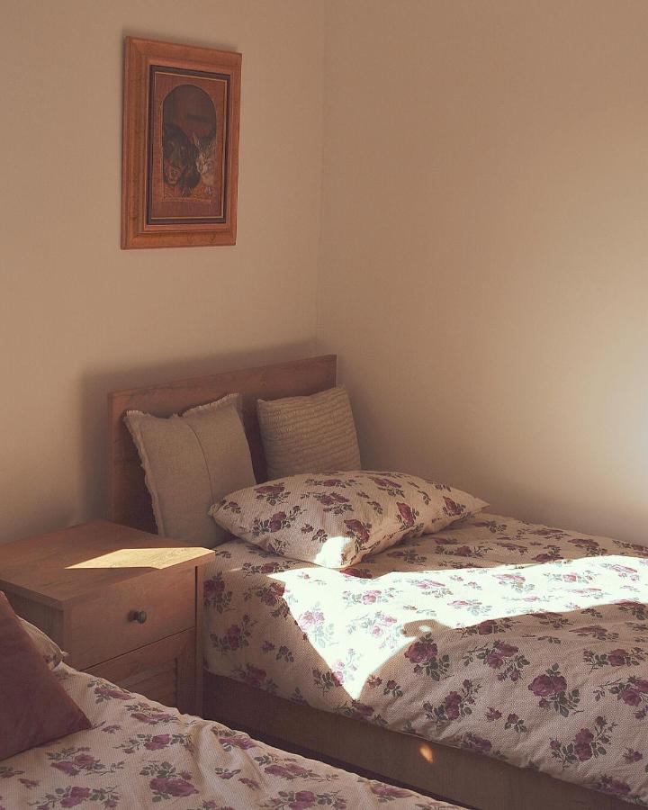Appartamento Amanet House Zasavica Esterno foto