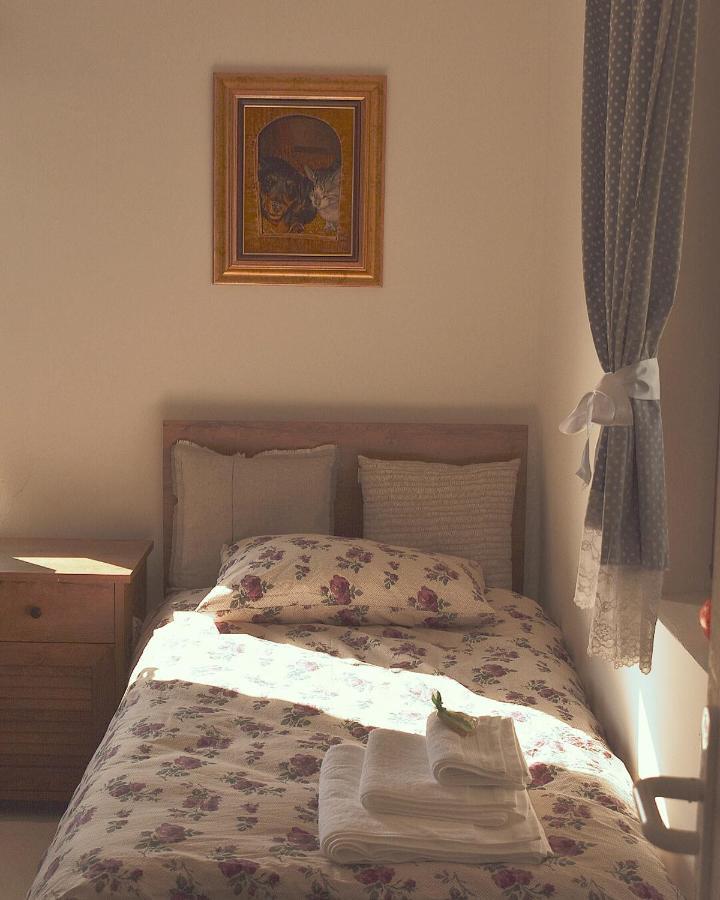 Appartamento Amanet House Zasavica Esterno foto