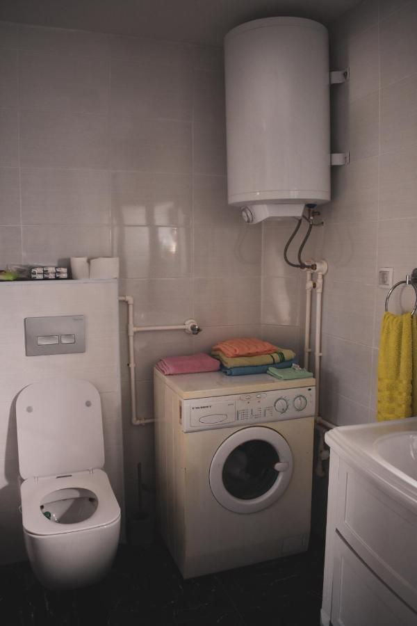 Appartamento Amanet House Zasavica Esterno foto