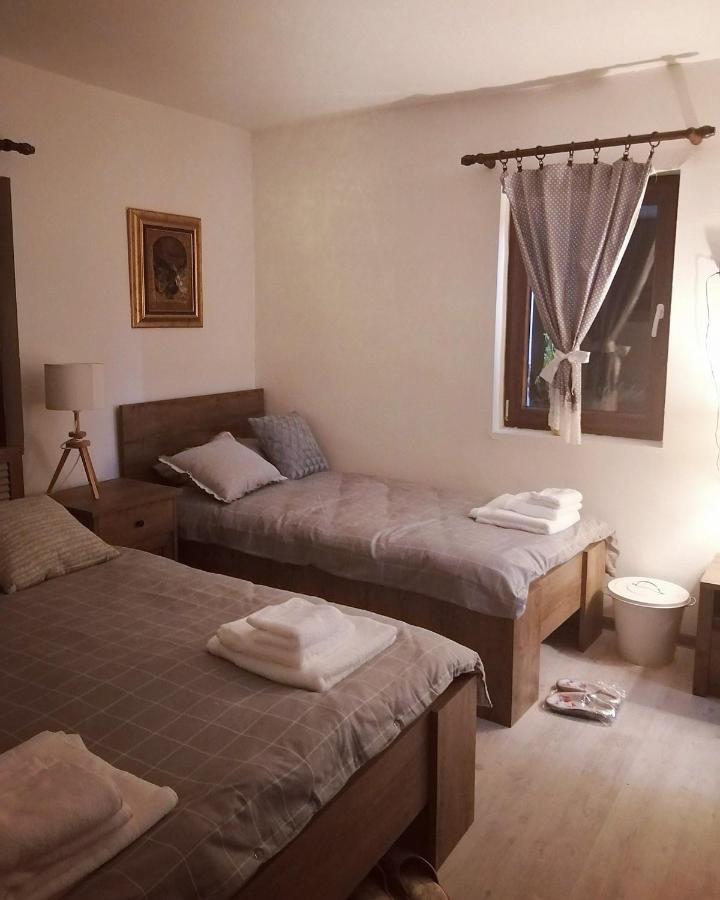 Appartamento Amanet House Zasavica Esterno foto