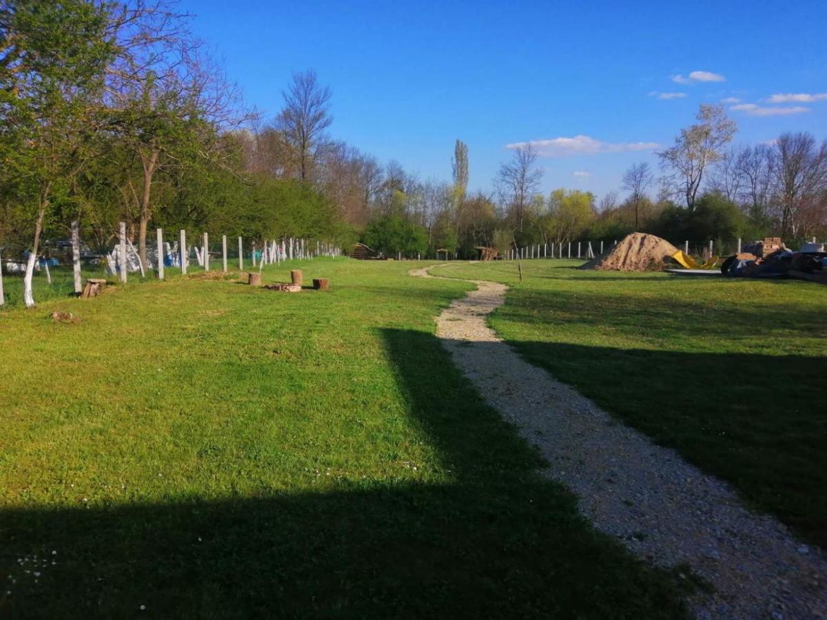 Appartamento Amanet House Zasavica Esterno foto