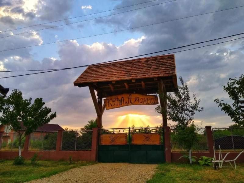 Appartamento Amanet House Zasavica Esterno foto