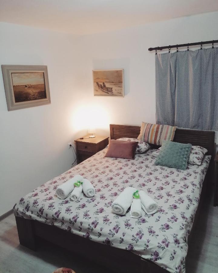 Appartamento Amanet House Zasavica Esterno foto