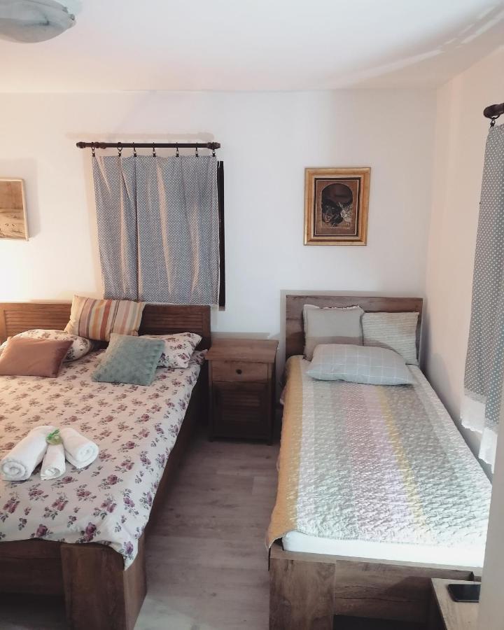Appartamento Amanet House Zasavica Esterno foto