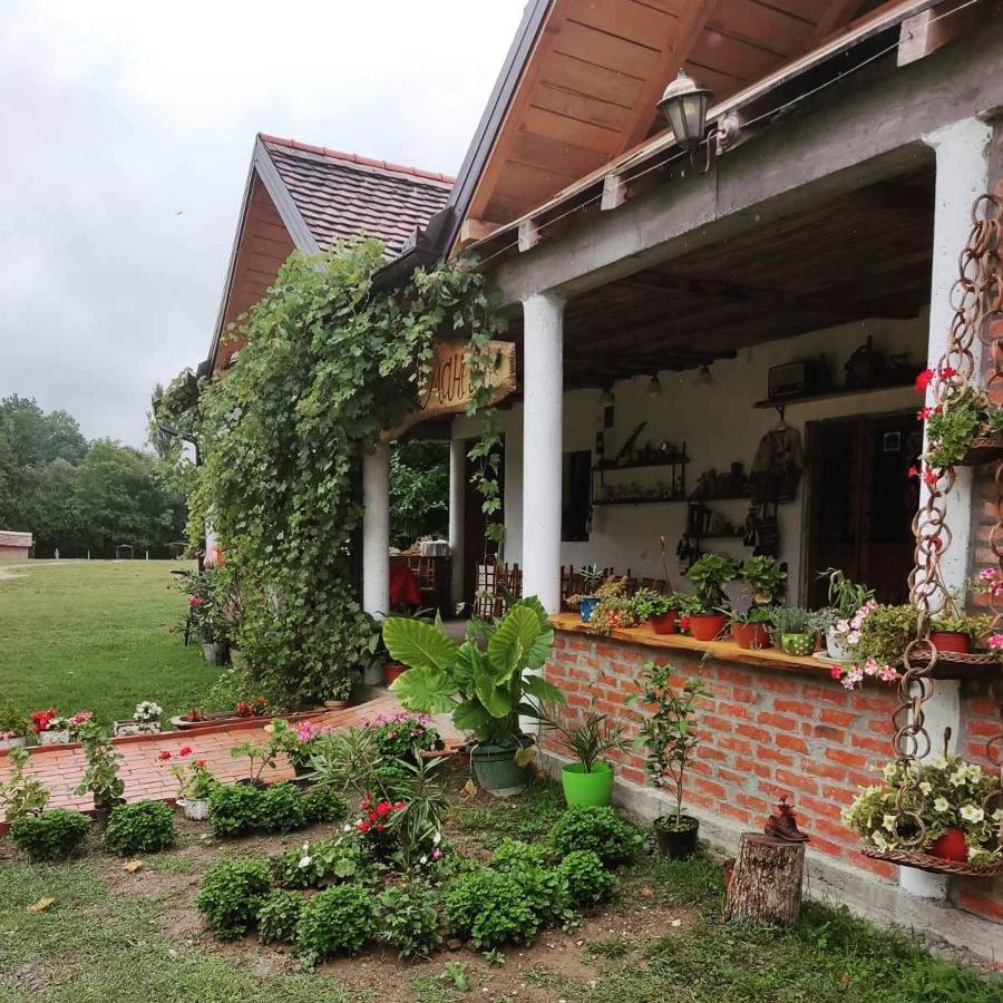 Appartamento Amanet House Zasavica Esterno foto