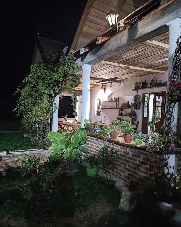 Appartamento Amanet House Zasavica Esterno foto