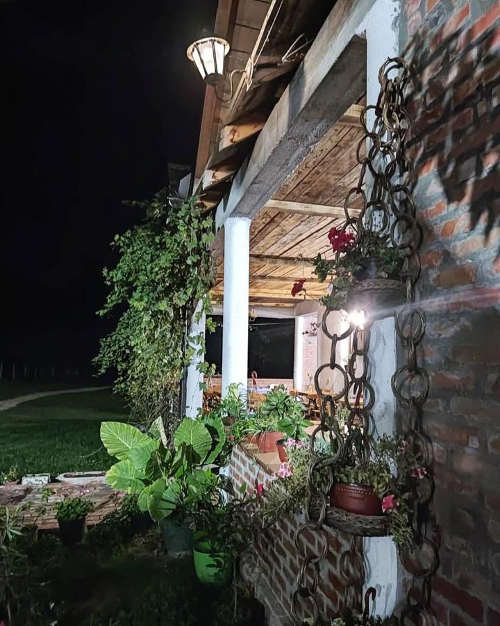 Appartamento Amanet House Zasavica Esterno foto
