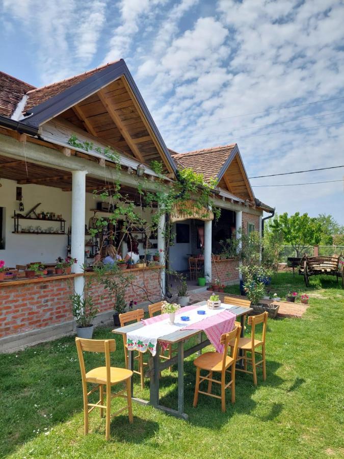 Appartamento Amanet House Zasavica Esterno foto
