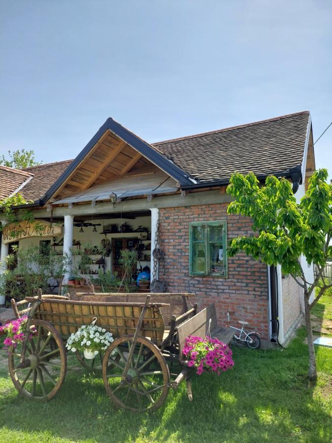 Appartamento Amanet House Zasavica Esterno foto