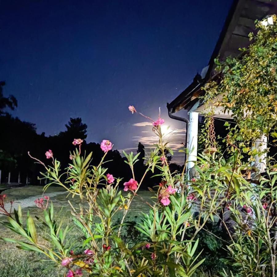 Appartamento Amanet House Zasavica Esterno foto