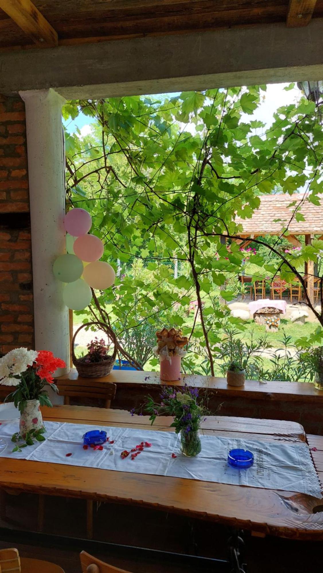 Appartamento Amanet House Zasavica Esterno foto
